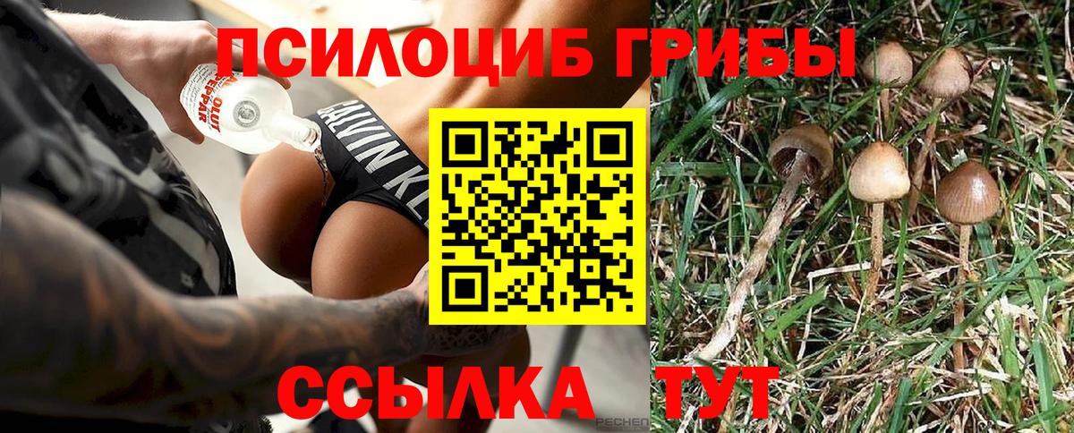 Псилоцибиновые грибы прущие грибы  Вход с VPN  Скопин  наркотики  Псилоцибиновые грибы Psilocybine cubensis 